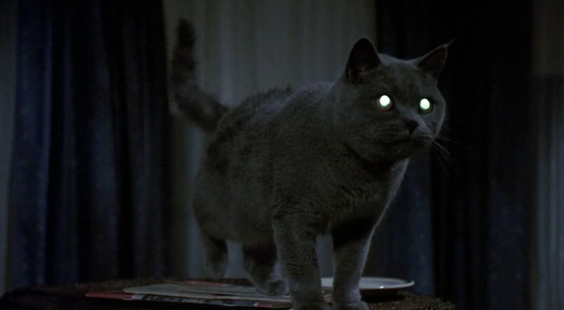 “Fuck off, hairball!”